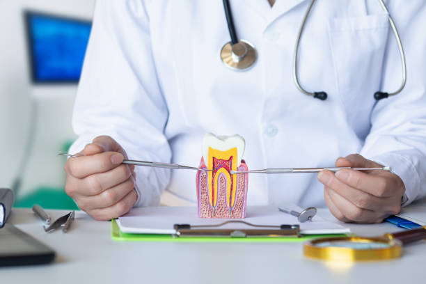 Best Broken or Cracked Tooth Emergency Dentist in Burlington, VT